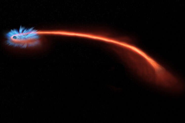 Fate of a star destroyed by a black hole
