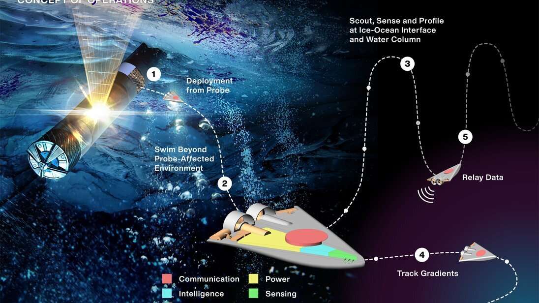 Flocks of tiny floating robots will help in search of life on other planets and satellites of planets