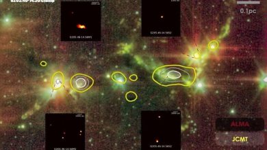 High density and turbulent state of the gas contribute to the formation of multiple stellar systems