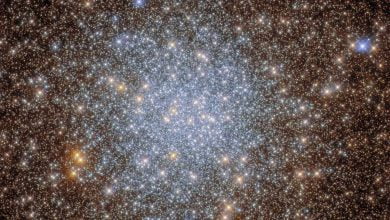 Hubble has delved into the cosmic treasury