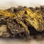 In France archaeologists have found a unique golden fabric