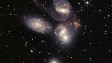 James Webb Space Telescope sheds light on the evolution of galaxies black holes