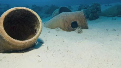 Jars recovered from the ocean reveal the secrets of ancient Roman wine