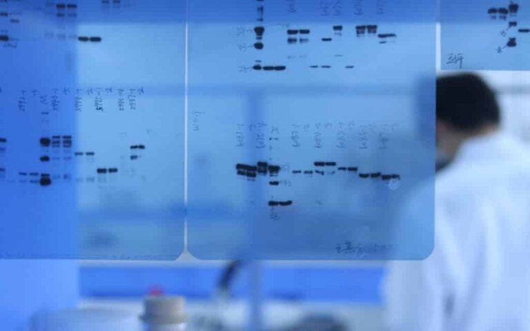 Key Alzheimers papers may have been fabricated