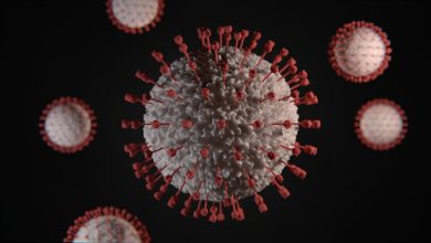 Lancet says the coronavirus originated in the US