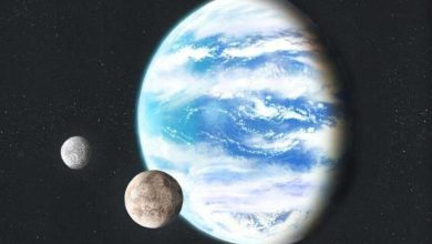 Location of land on the planet can affect its habitability