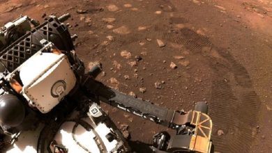 Mars rovers may be within 7 feet of evidence of extraterrestrial life