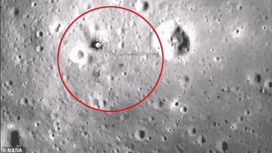 NASA releases pictures and video of Apollo 11 landing site on the Moon