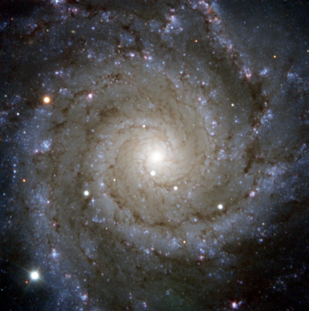 NASAs James Webb Space Telescope shows the center of the galaxy M 74 2
