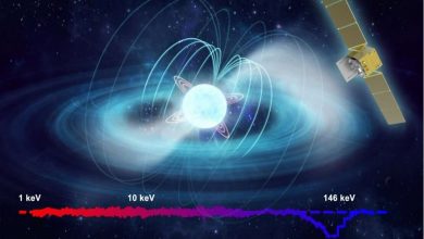 New record for measuring the strongest magnetic field in the universe