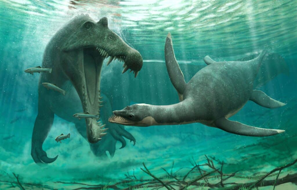 Plesiosaurs could live in fresh water 1
