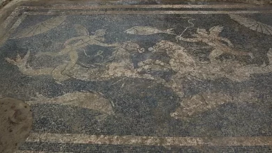 Previously unknown Roman city found in Spain