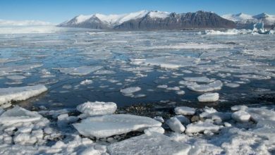 Reasons for the sharp warming in the Arctic are revealed
