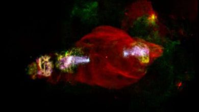 Researchers locate extremely energetic particles in Space Manatee