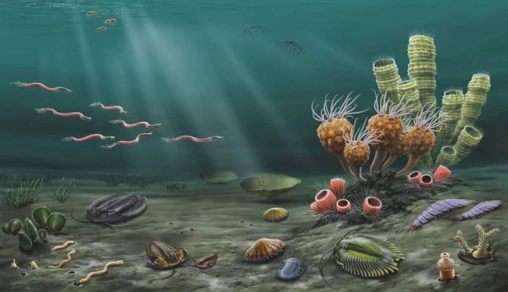 Richest collection of animals of the Ordovician period was found in the Chinese province of Hunan 1