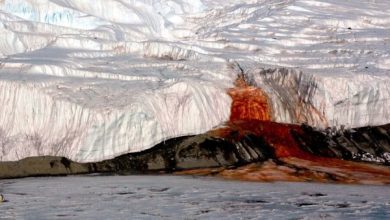 Scientists discover Martian conditions in Antarctic Bloody Falls