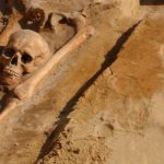 Scientists have found that medieval vampires teeth were in excellent condition