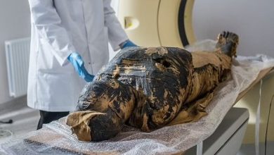 Scientists have found the cause of death of the first pregnant mummy