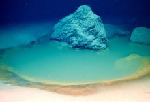 Scientists have made a unique deep sea find Life on Earth originated here