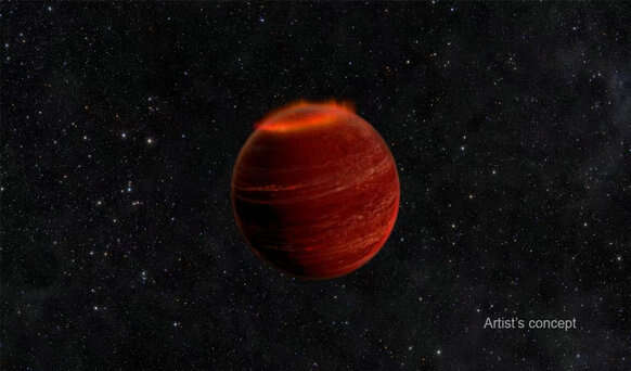 Statistical analysis of the population of brown dwarfs flaring in the radio range
