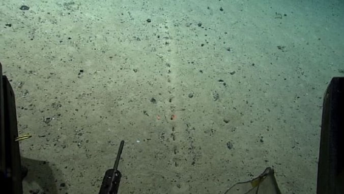 Strange holes discovered by scientists at the bottom of the Atlantic Ocean 1