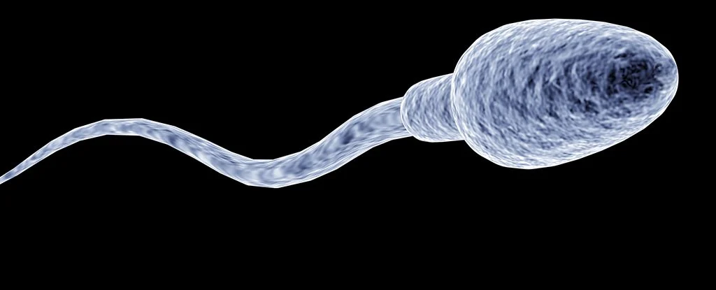 Turns out your sperm is full of DNA packed as tightly as Tetris blocks