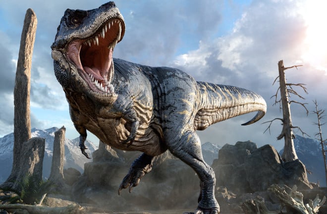 Tyrannosaurus rex again became the only species of the genus 1