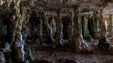 Unknown life forms discovered in ancient lava caves in Hawaii 1