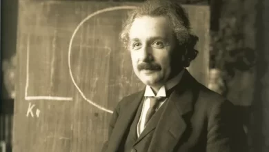 Wisdom from Albert Einstein about fools and geniuses says a lot about modern people 1