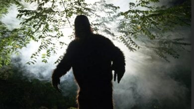 2 Americans run away from national park after encountering Bigfoot