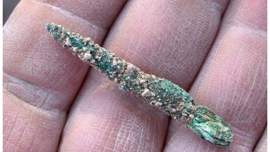 7000 year old copper awl found in Israel 1