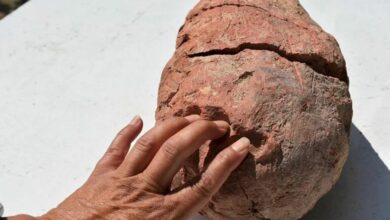 8 000 year old worlds oldest pottery workshop found in Turkey 1