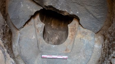 Archaeologists have found the sarcophagus of an ancient Egyptian general 1