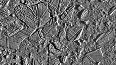 Chaos Konamara an argument in favor of the fact that there is a subsurface ocean on Jupiters moon Europa