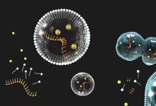 Chemists have found the key reactions that helped the emergence of life 1
