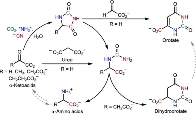 Chemists have found the key reactions that helped the emergence of life 2