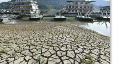 Chinas worst heat wave in 60 years forces factories to close as temperatures rise above 40C