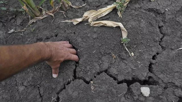 Drought destroys half of corn and soybean crops in Croatia