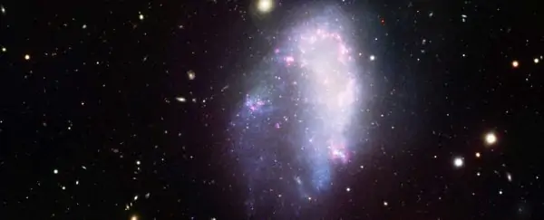 Dwarf galaxies seem to be devoid of dark matter and it doesnt make sense