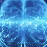 Electrical brain stimulation experiment improves memory in older people