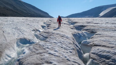 Glaciers are disappearing all over the world 1