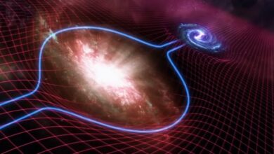 Gravity in the universe has not changed