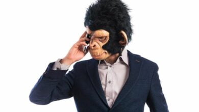 Japanese scientists explain why monkeys dont talk 1
