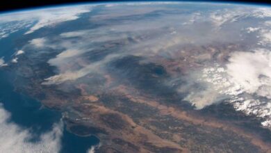 Large scale forest fires in Australia provoked a sharp anomaly in the stratosphere