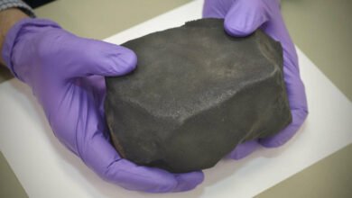Meteorite contains data on spitting asteroids