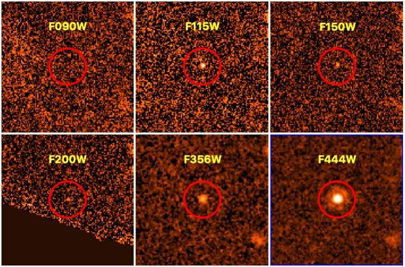 New distant and cold brown dwarf discovered