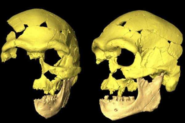 Paleoanthropologists Diagnose Deafness and Balance Problems in 100 000 Year Old Sapiens
