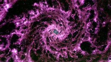 Purple galactic whirlpool spotted in space