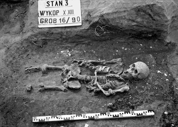 Remains of medieval dwarf found in Poland 1