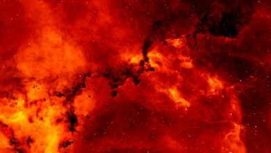 Researchers study turbulence inside distant stars